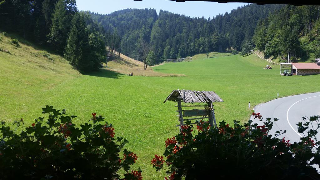 Brunarica Zatrnik Pokljuka