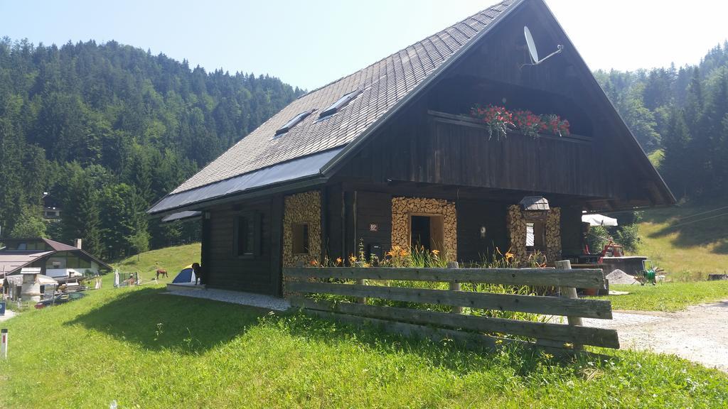 Brunarica Zatrnik Pokljuka Apartment *