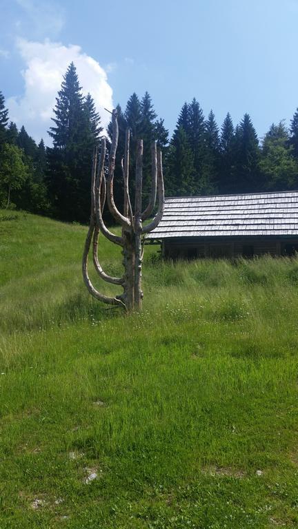 Apartment Brunarica Zatrnik Pokljuka