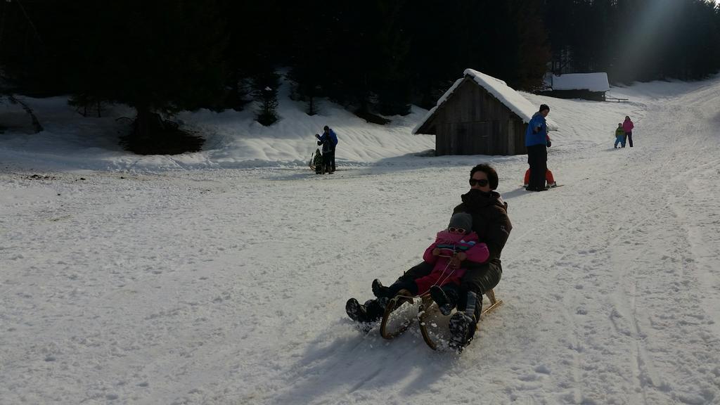 Brunarica Zatrnik Pokljuka Bled