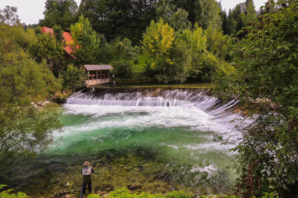 Brunarica Zatrnik Pokljuka