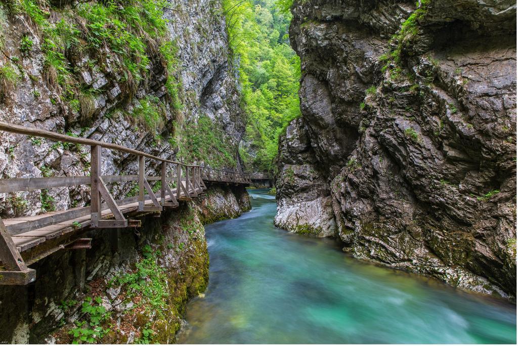Brunarica Zatrnik Pokljuka Bled