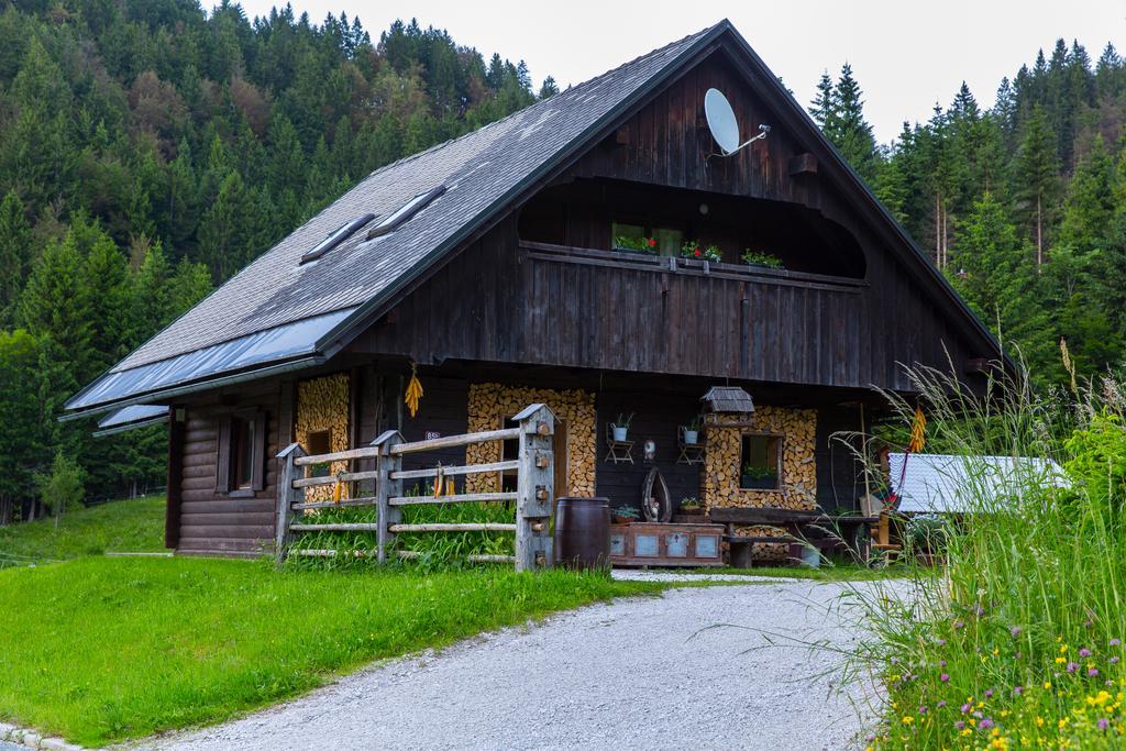Brunarica Zatrnik Pokljuka Bled