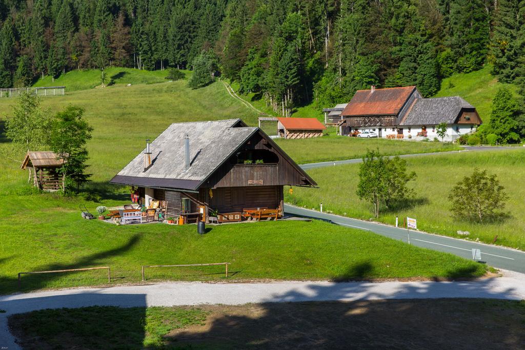 Brunarica Zatrnik Pokljuka Bled
