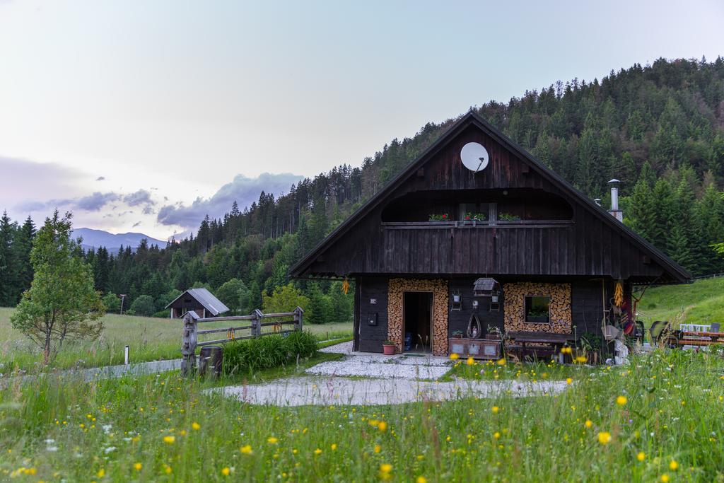 Brunarica Zatrnik Pokljuka Bled