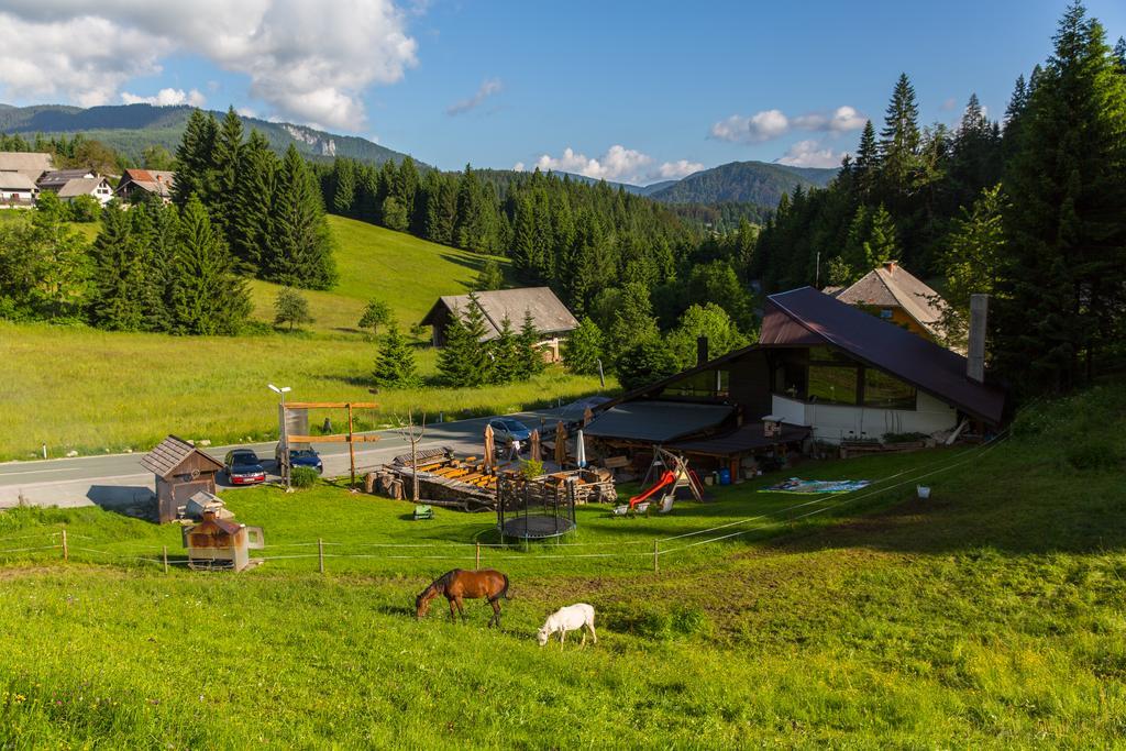 Apartment Brunarica Zatrnik Pokljuka Bled